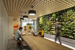 green wall