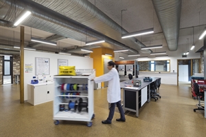 lab