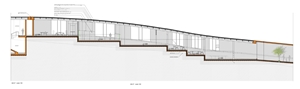 section