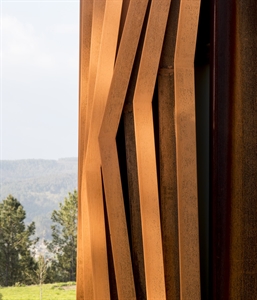 edge detail portrait