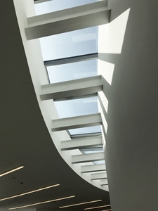 beams